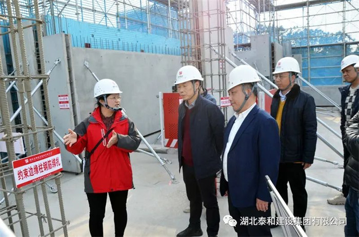 宜昌市绿色建造联合体现场观摩活动在泰力装配式建筑产业基地举行